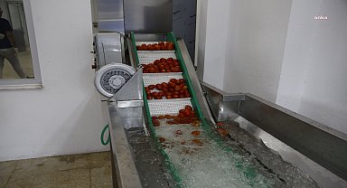 Antalya Büyükşehir'in Kumluca Yaş Sebze Meyve Kurutma ve Paketleme Tesisi ile kayıplar en aza iniyor