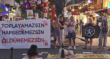 Antalya'da hayvanseverlerden katliamlara protesto: 