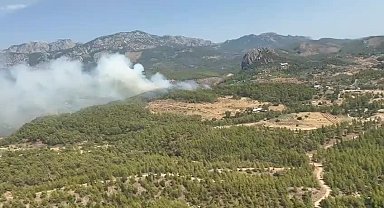 Antalya Serik'te orman yangını