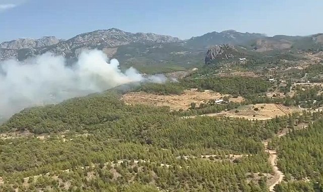 Antalya Serik'te orman yangını