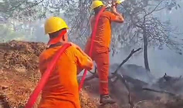 Antalya Serik'teki orman yangını kontrol altına alındı