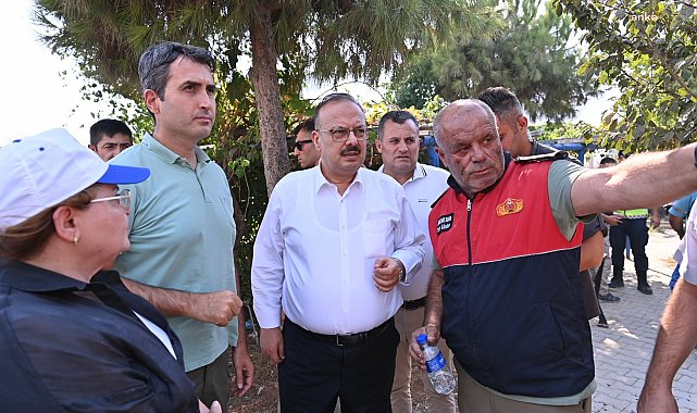 Aydın'da çıkan yangınlar... Vali Canbolat: