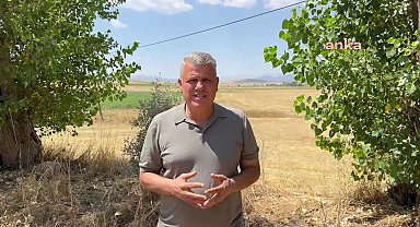 Ayhan Barut'tan ayçiçeğinde gümrük vergisinin düşürülmesine tepki; ''AKP iktidarı çiftçilerimizi ve üreticilerimizi tarım yapamayacak hale getiriyor''