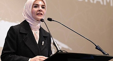 Bakan Özdemir: 