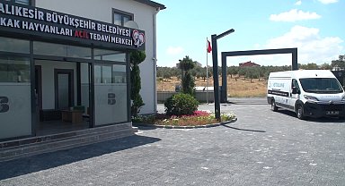 Balıkesir Büyükşehir Belediyesi İtfaiye Eri Seray Başol’dan dumandan etkilenen kediye hayati müdahale  