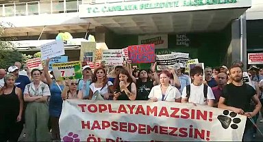 Başıboş sokak köpeklerinin toplatılmasına, hayvanseverlerden Ankara'da protesto