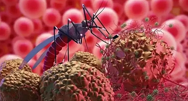 Batı Nil Virüsü: Sağlık ve toplum için artan bir tehdit