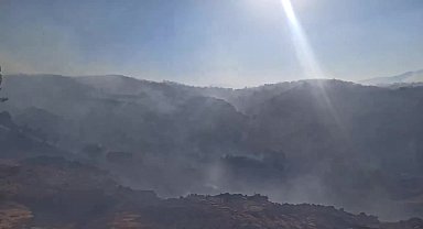 Bingöl’de orman yangını... Bölgede çok sayıda kişi tahliye edildi