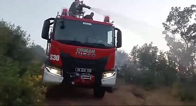 Bingöl'de orman yangını dokuz saat süren müdahalenin ardından kontrol altına alındı