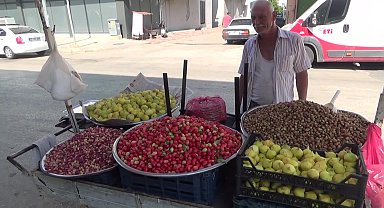 Bir tane incirin fiyatının 15 lira olmasına tepki gösteren vatandaş: