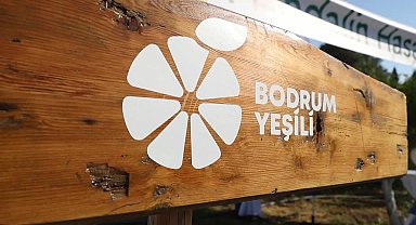 Bodrum’da 'yeşil mandalin' hasadı