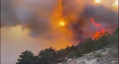 Bolu Göynük Bekirfakılar köyü mevkiindeki ormanlık alanda yangın