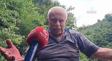 Borçkalı çay üreticisi: