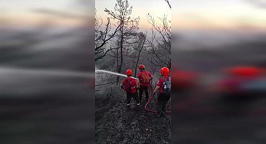 Bursa'daki orman yangınına müdahale sürüyor