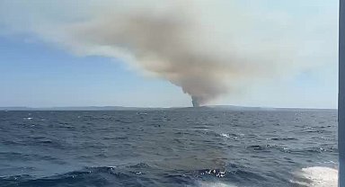 Çanakkale Büyükanafarta köyü yakınında orman yangını