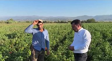 CHP'li Başevirgen'e dert yanan üretici: 