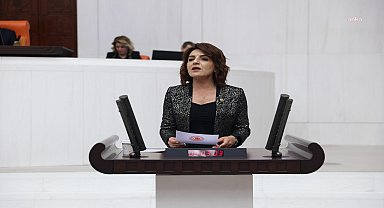 CHP'li Gülcan Kış: 