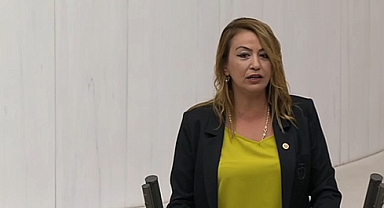 CHP'li Kara:
