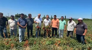 CHP’li Sarıbal’dan domates ve karpuz üreticisi için çağrı : 