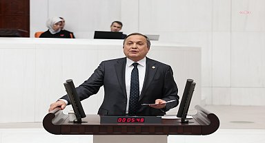 CHP’li Torun’dan Bakan Yumaklı’ya: Kokarca böceği istilasından etkilenen fındık üreticilerinin zararlarının karşılanması için bütçe ayrıldı mı?