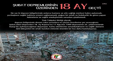 Depremin üzerinden 18 ay geçti... TTB: Bölgedeki yurttaşların sağlık hakkına erişimi sağlanamadı, hekimler ve sağlık emekçilerinin sorunları çözülemedi