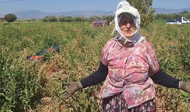 Domates üreticilerinden fiyat protestosu: