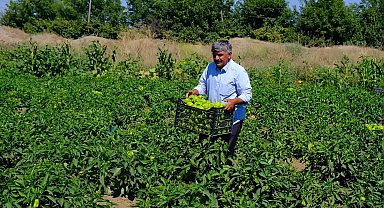 Eskişehir Yeşil Sakarya Yaş Sebze ve Meyve Üreticiler Birliği Başkanı Süleyman Buluşan: 