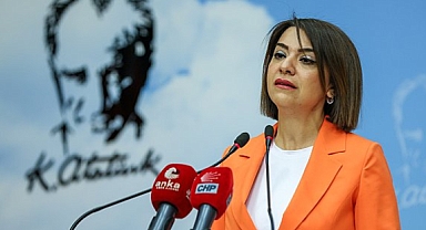 Gamze Taşcıer, TÜİK yöneticileri hakkında soruşturmaya yer olmadığı kararına itiraz etti