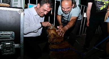 Giresun Belediye Başkan Köse: “Sahipsiz hayvanların uyutulmasına yönelik çağ dışı yasanın uygulanması vicdanen mümkün değildir”