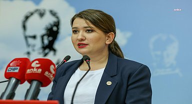 Gökçe Gökçen'den Bakan Yumaklı'ya: Niğde'deki köpekler, ne tür bir tehlike arz ettikleri için öldürülmüştür?