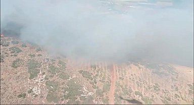Hatay Antakya'da orman yangını çıktı