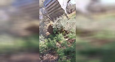 Hatay'da, konutlara yol yapmak için zeytin ağaçlarının sökülmesine vatandaşlar tepkili: 