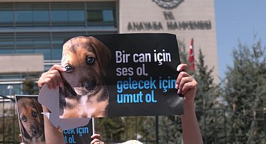 Hayvan hakları savunucuları AYM önünden seslendi: 