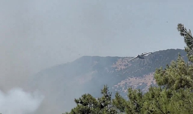 İletişim Başkanlığı: İzmir, Aydın, Manisa, Bolu ve Karabük’teki 5 orman yangınını söndürme çalışmaları devam ediyor