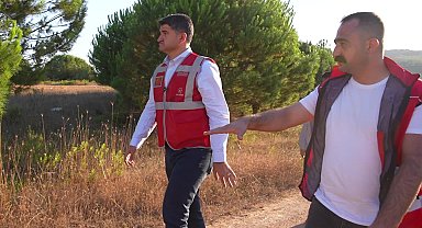 İstanbul'da sokak hayvanları için dev proje... Kayışdağı Ormanı’nda 80 bin metrekarelik alanda rehabilitasyon merkezi kurulacak