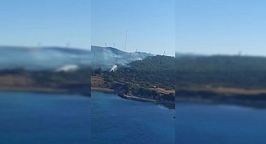 İzmir Aliağa’daki TÜPRAŞ Ormanı’nda yangın