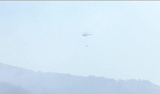 İzmir'deki orman yangınları... CHP'li Polat: