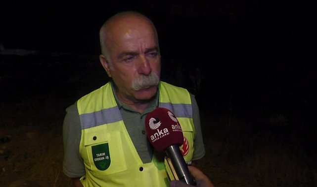 İzmir Yangınlarında son durum... Tarım Orman-İş Sendikası Genel Başkanı Durmuş: