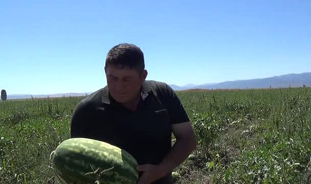 Konyalı karpuz üreticisinden tepki:
