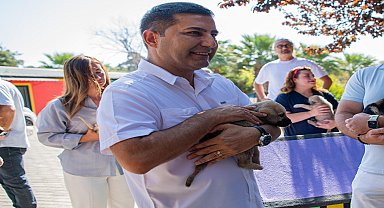 Kuşadası Belediye Başkanı Günel: “Hükümet eğer sokak canlarımız konusunda samimiyse SGK avantajı sağlasınlar, biz de can dostlarımıza bakmaya devam edelim”