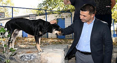 Kuşadası Belediye Başkanı Günel: “Yasa bize ‘Sokak hayvanlarını uyutacaksınız’ dese dahi böyle bir şey yapmamız söz konusu olamaz”