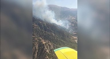 Manisa'nın Salihli ilçesinde çıkan orman yangınına müdahale ediliyor 