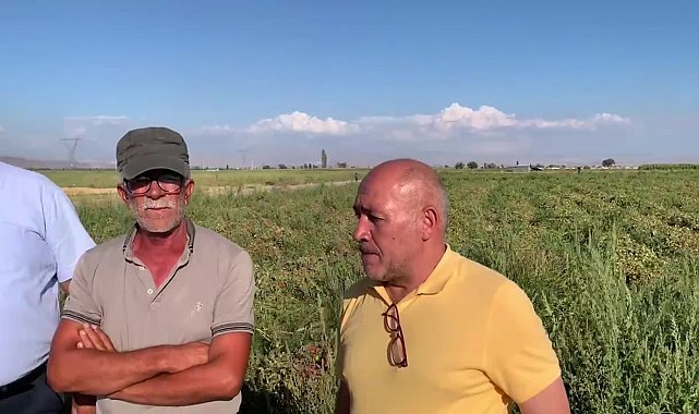 Ömer Fethi Gürer, domates üreticilerinin derdini dinledi... Üreticiler isyan etti: