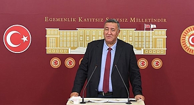 Ömer Fethi Gürer: 