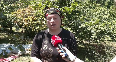 Ordu'daki üreticilerden fındık alım fiyatına tepki...
