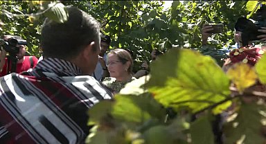 Özgür Özel, Ordu'da fındık bahçesini ziyaret etti, üreticilerin sorunlarını dinledi