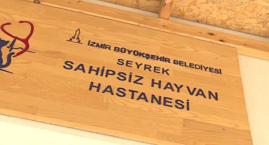 Seyrek Sahipsiz Hayvan Hastanesi sokak hayvanlarına şifa oluyor