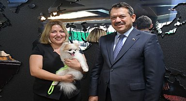 Tepebaşı’nda şiddet mağduru köpek “Pamuk” yeni yuvasına kavuştu