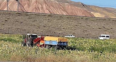 Yozgat’ta ayçiçeği hasadına başlayan çiftçi, alım fiyatının açıklanmasını bekliyor