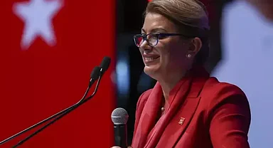 CHP Milletvekili Kaya, 